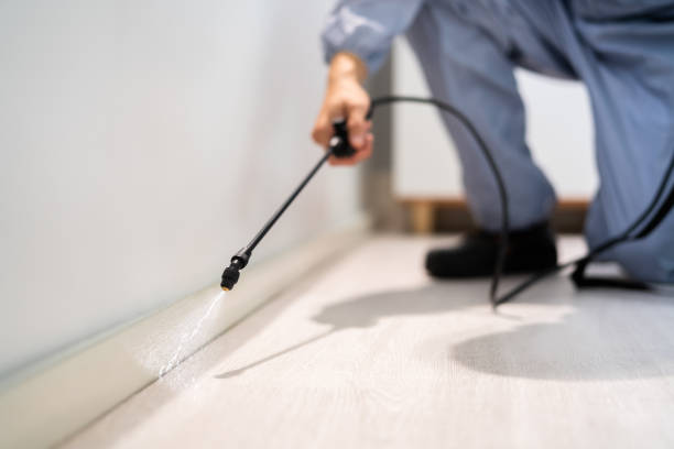 Bed Bug Pre-Treatment Preparation Assessment in Cass City