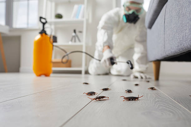 Post-Treatment Bed Bug Interceptor Monitoring in Cass City