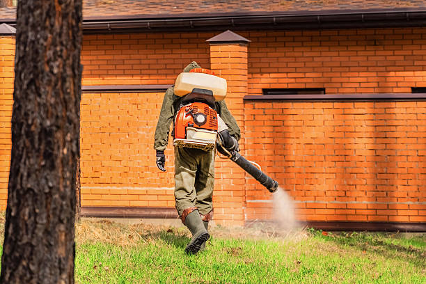 Bed Bug Clearance Verification and Documentation in Cass City